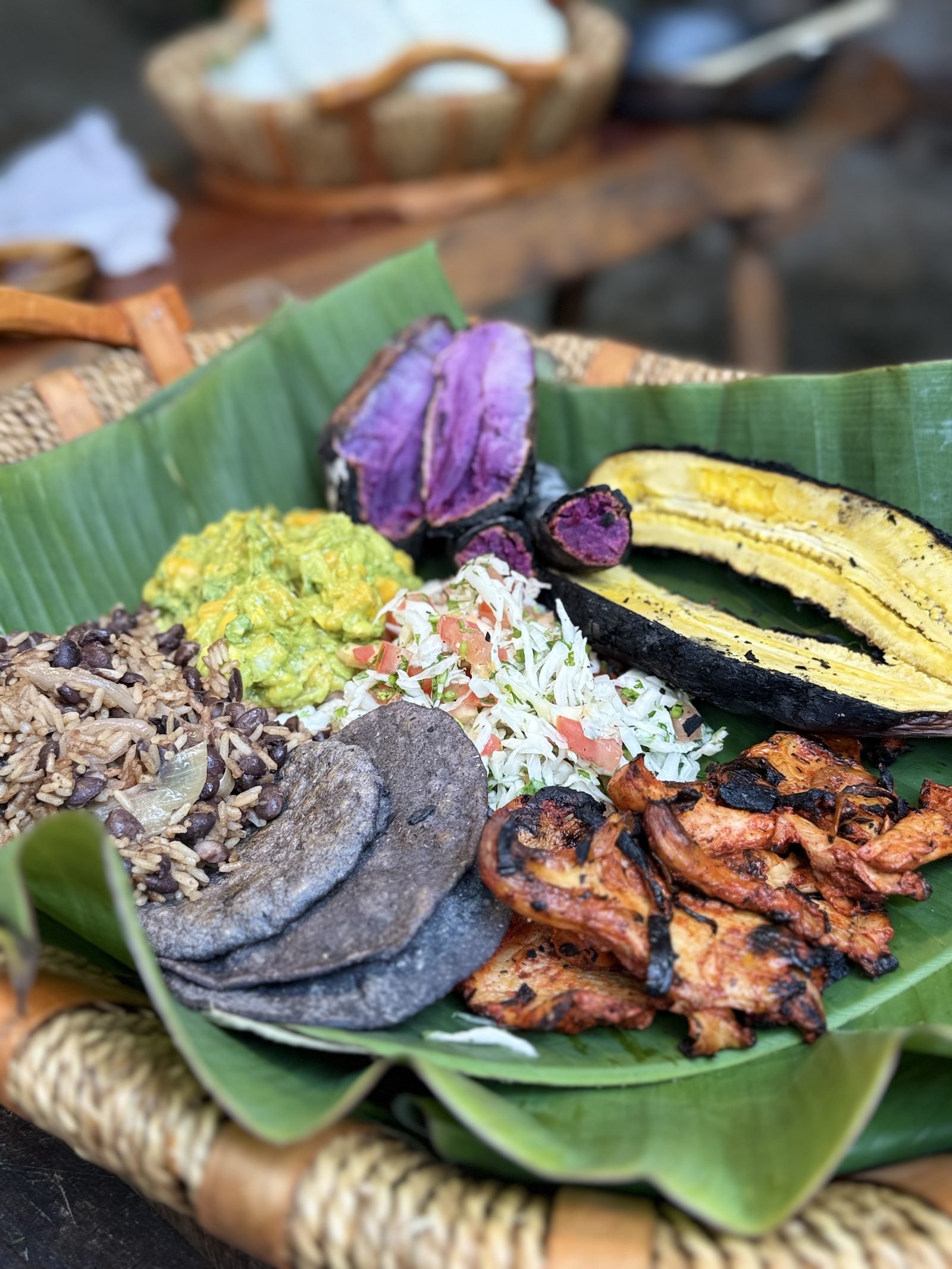Palmaïa — The House of AïA, Riviera Maya · jungle and Caribbean immersion